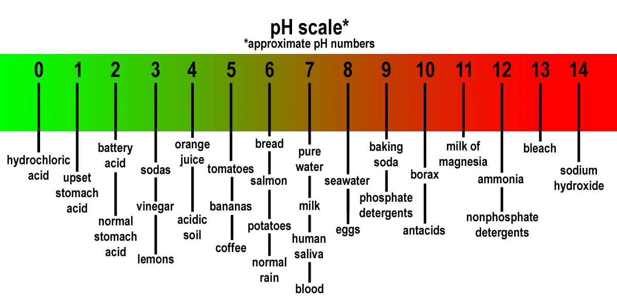 Human Ph Balance Chart